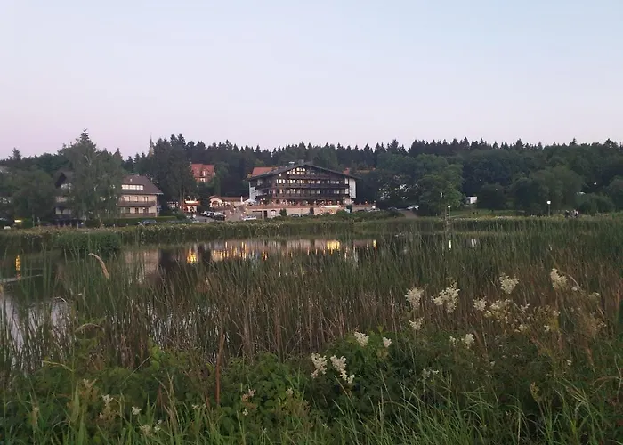 Vier Jahreszeiten, 723, Hahnenklee - Bockswiese Appartement *